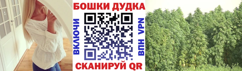 Продажа наркотиков Петровск Псилоцибиновые грибы КОКАИН Меф mega маркетплейс ГАШИШ МАРИХУАНА