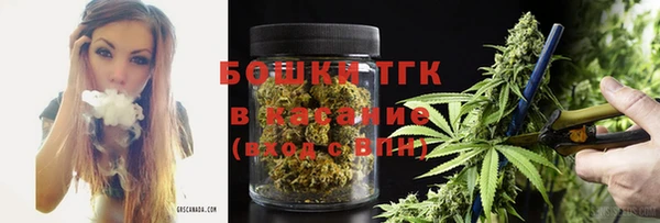 крисы Алзамай
