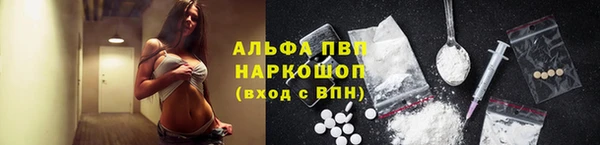 apvp Алексин
