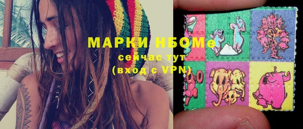 крисы Алзамай
