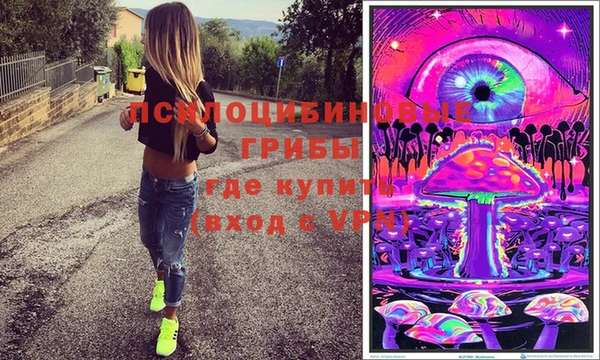 крисы Алзамай