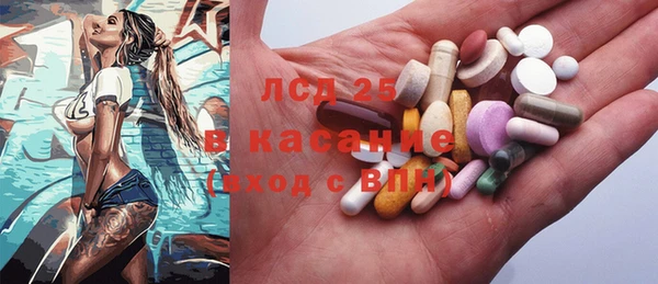 крисы Алзамай