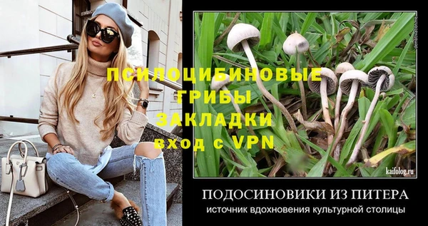 apvp Алексин
