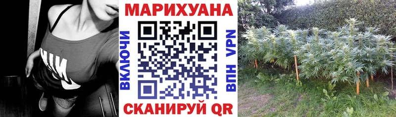 сколько стоит Петровск Конопля тримм